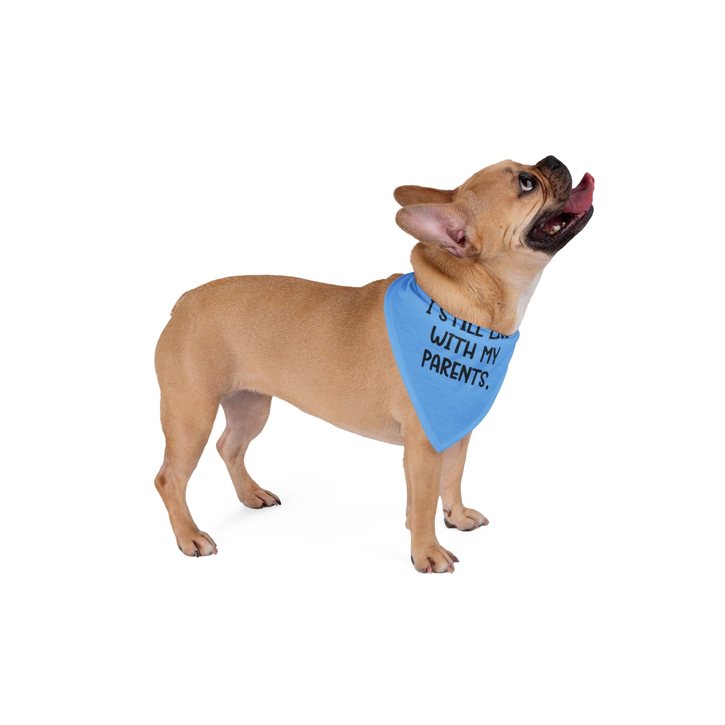 Live with Parents Pet Bandana, Blue (Black Logo) - Sweet Baby Jeez Teez