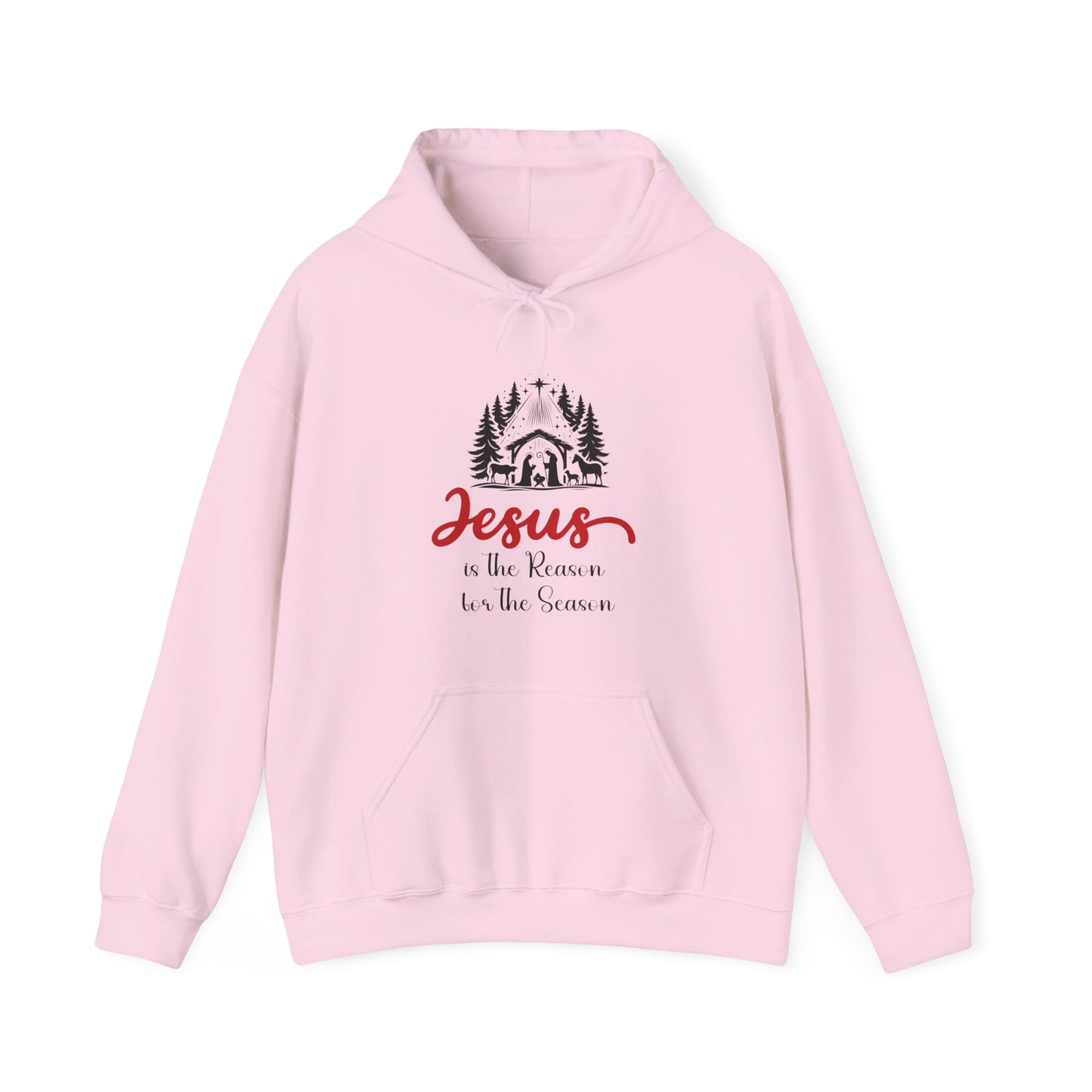 Jesus is the Reason Women's Relaxed Hoodie