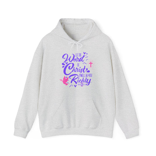 Word of Christ Women's Hoodie - Sweet Baby Jeez Teez